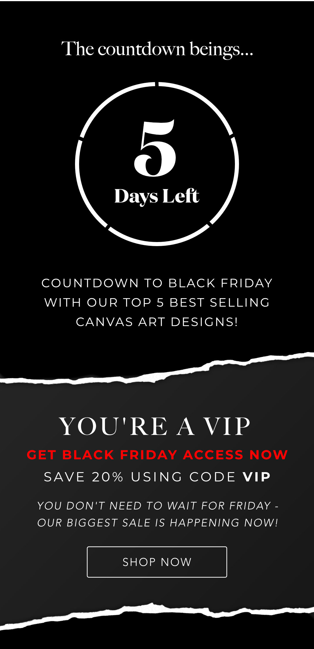 Black Friday Sale - 5 Days Left!