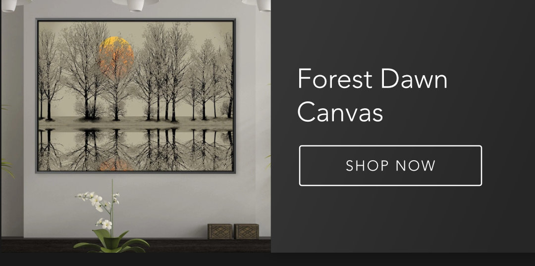 Forest Dawn Canvas