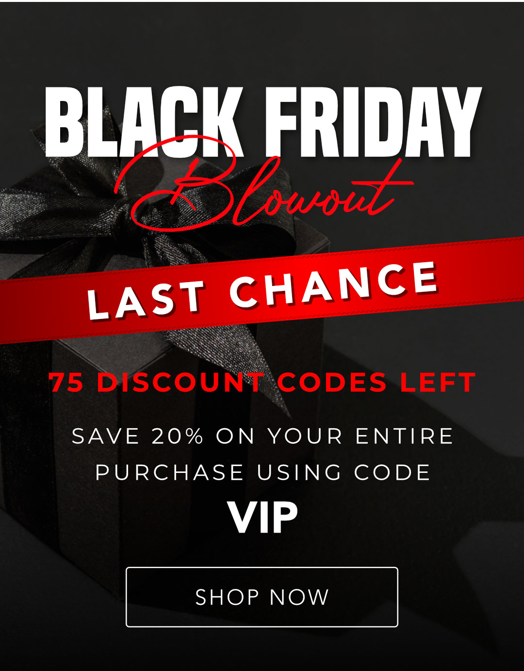 Black Friday Extended Sale Continues!