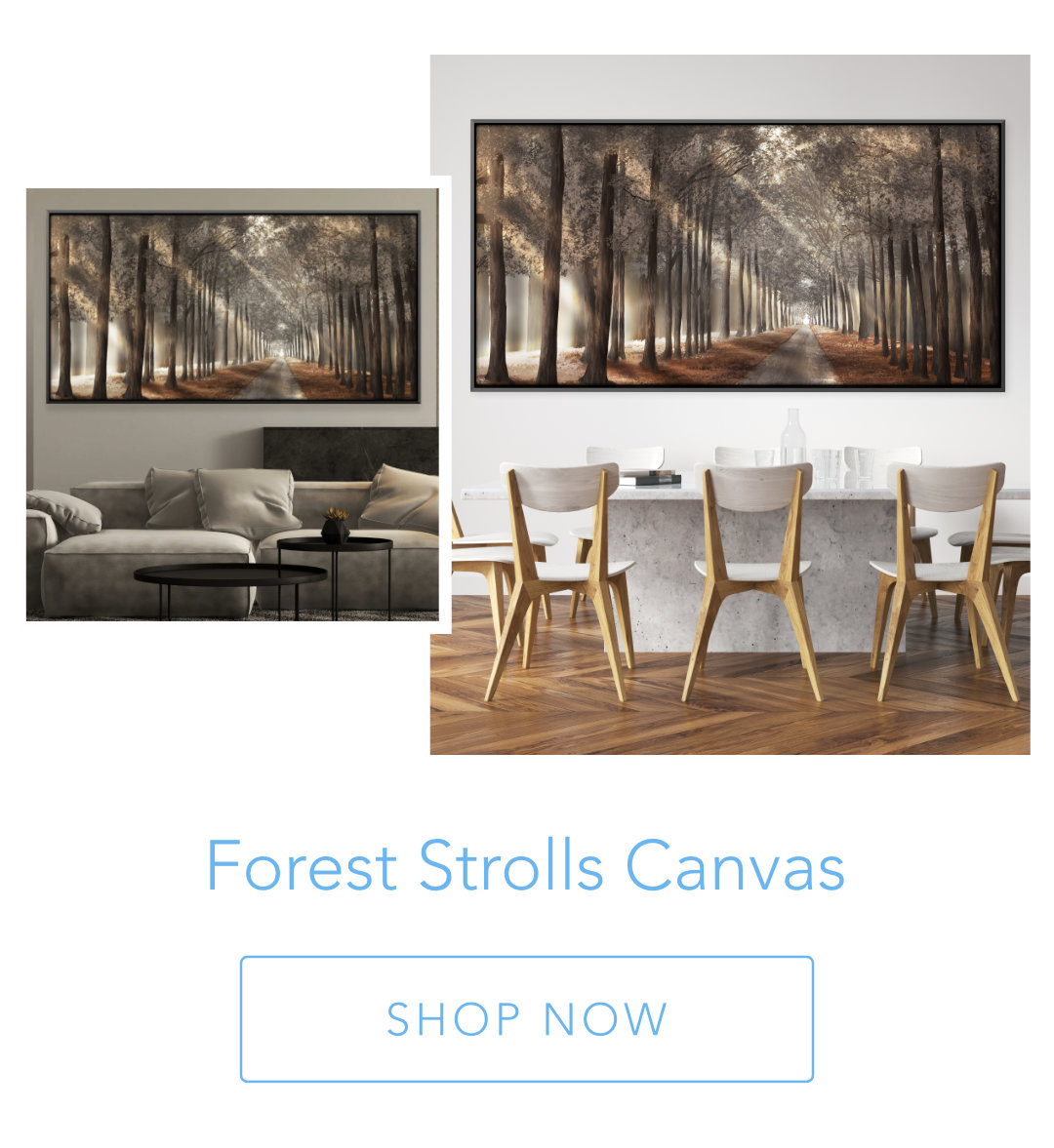 Forest Strolls Canvas