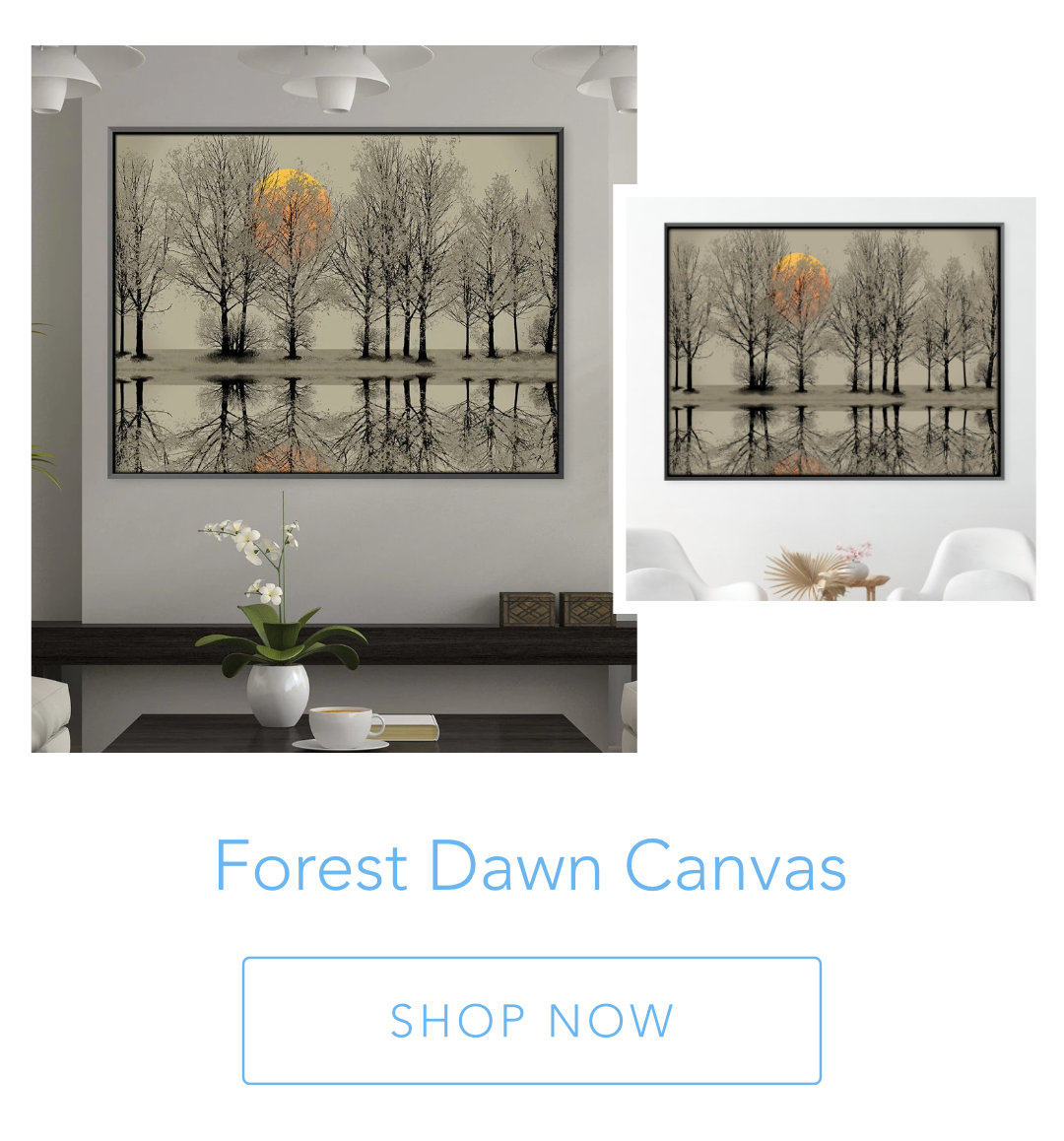 Forest Dawn Canvas