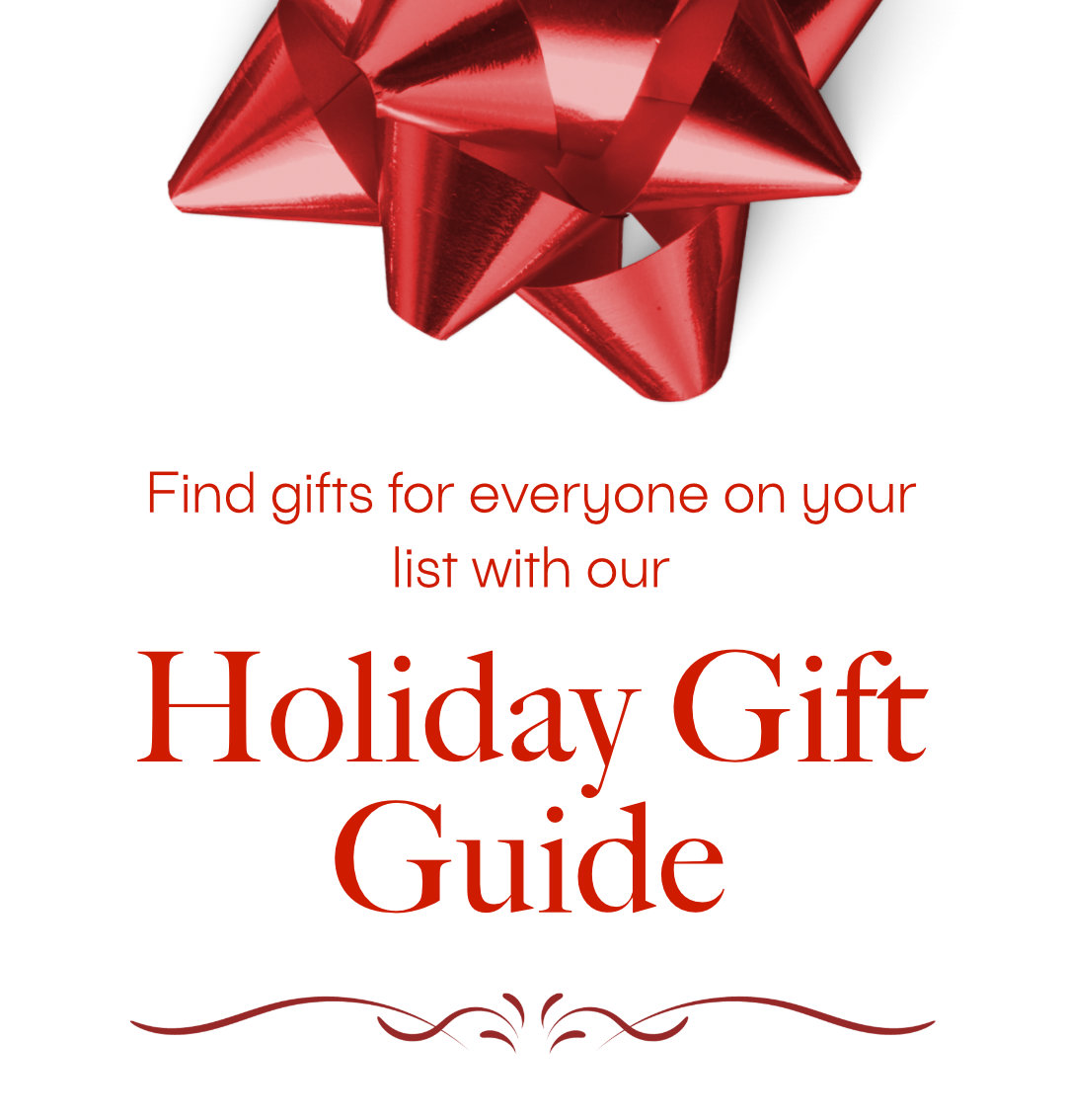 Holiday Gift Guide