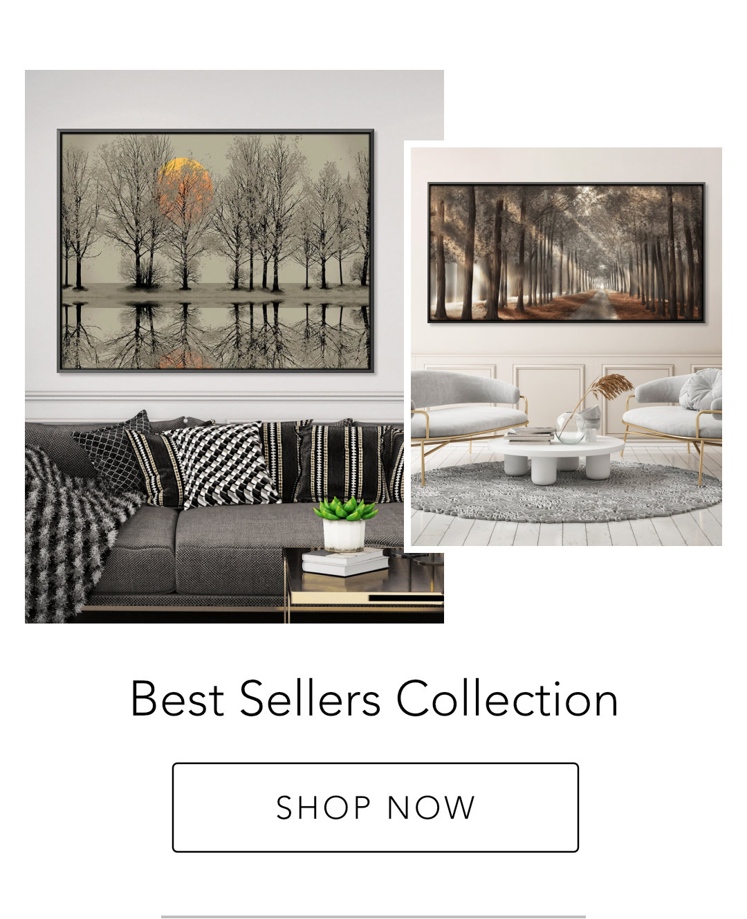 Best Sellers Collection