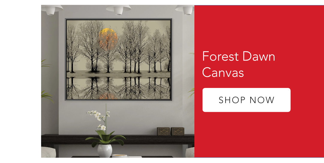 Forest Dawn Canvas