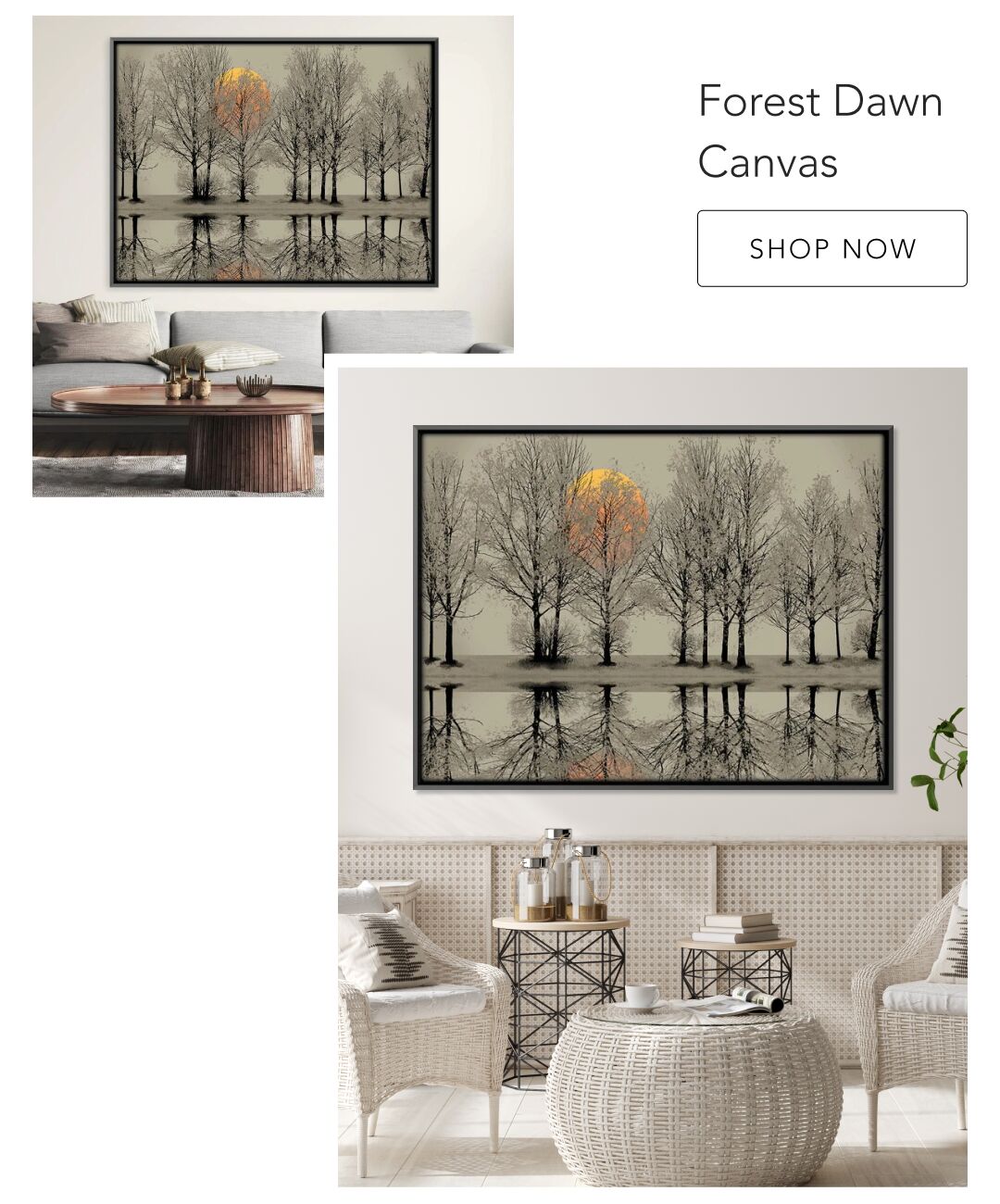 Forest Dawn Canvas