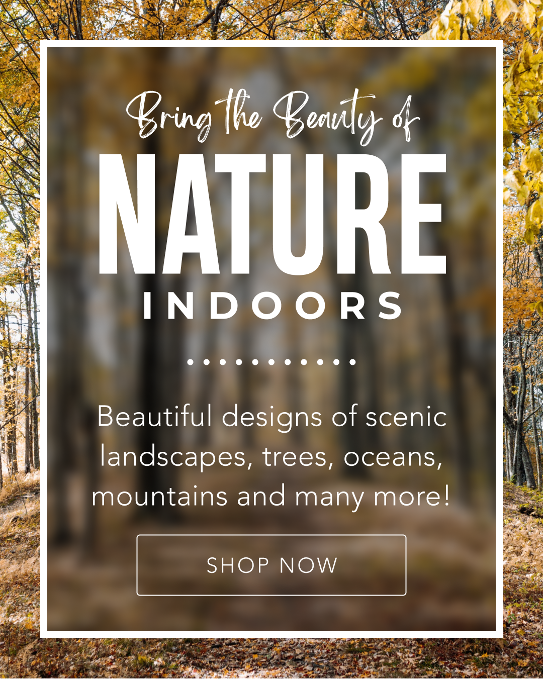 Bring the Beauty of Nature Indoors