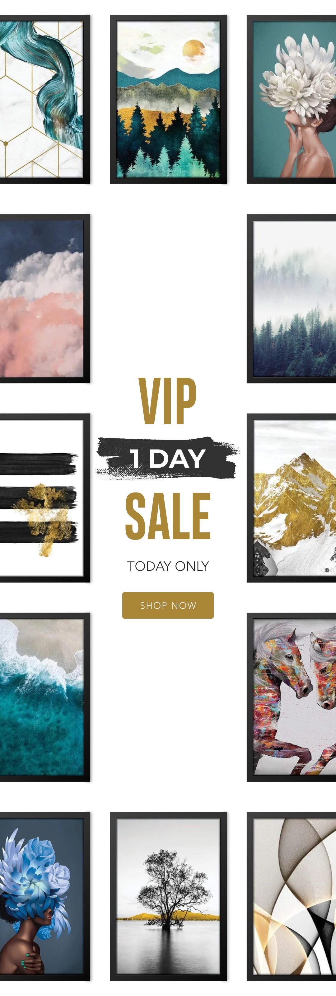 VIP 1 Day Sale