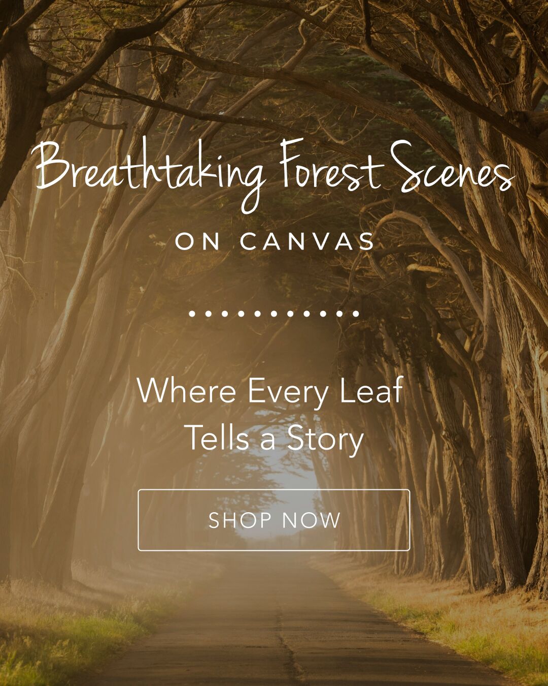 Breathtaking Forest Scenes on Canvas