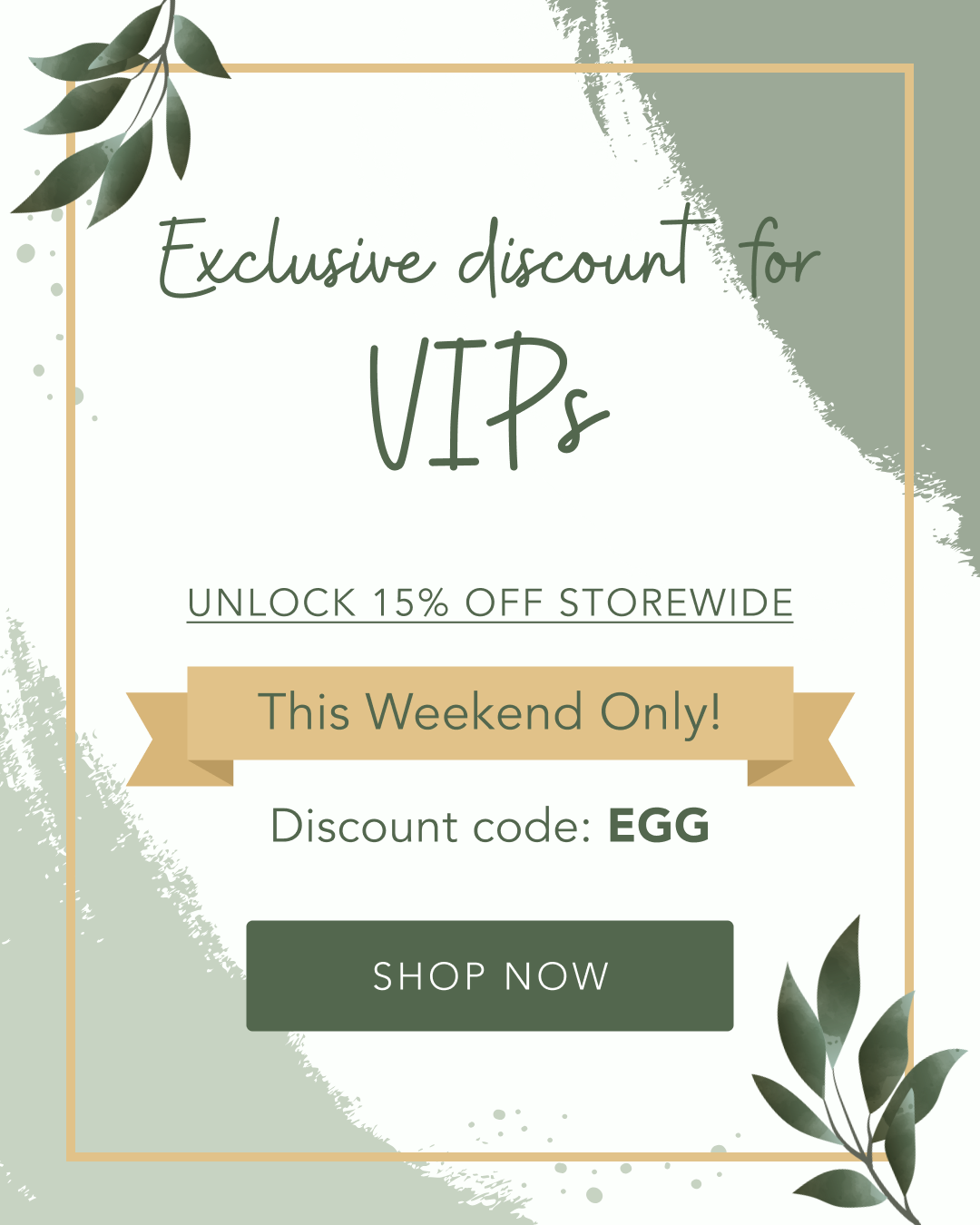 Exclusive discount for VIPs