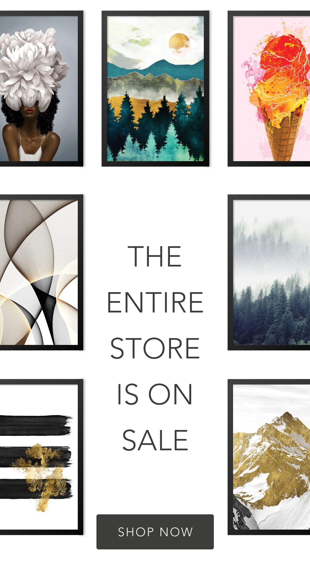 THE ENTIRE STORE IS ON SALE