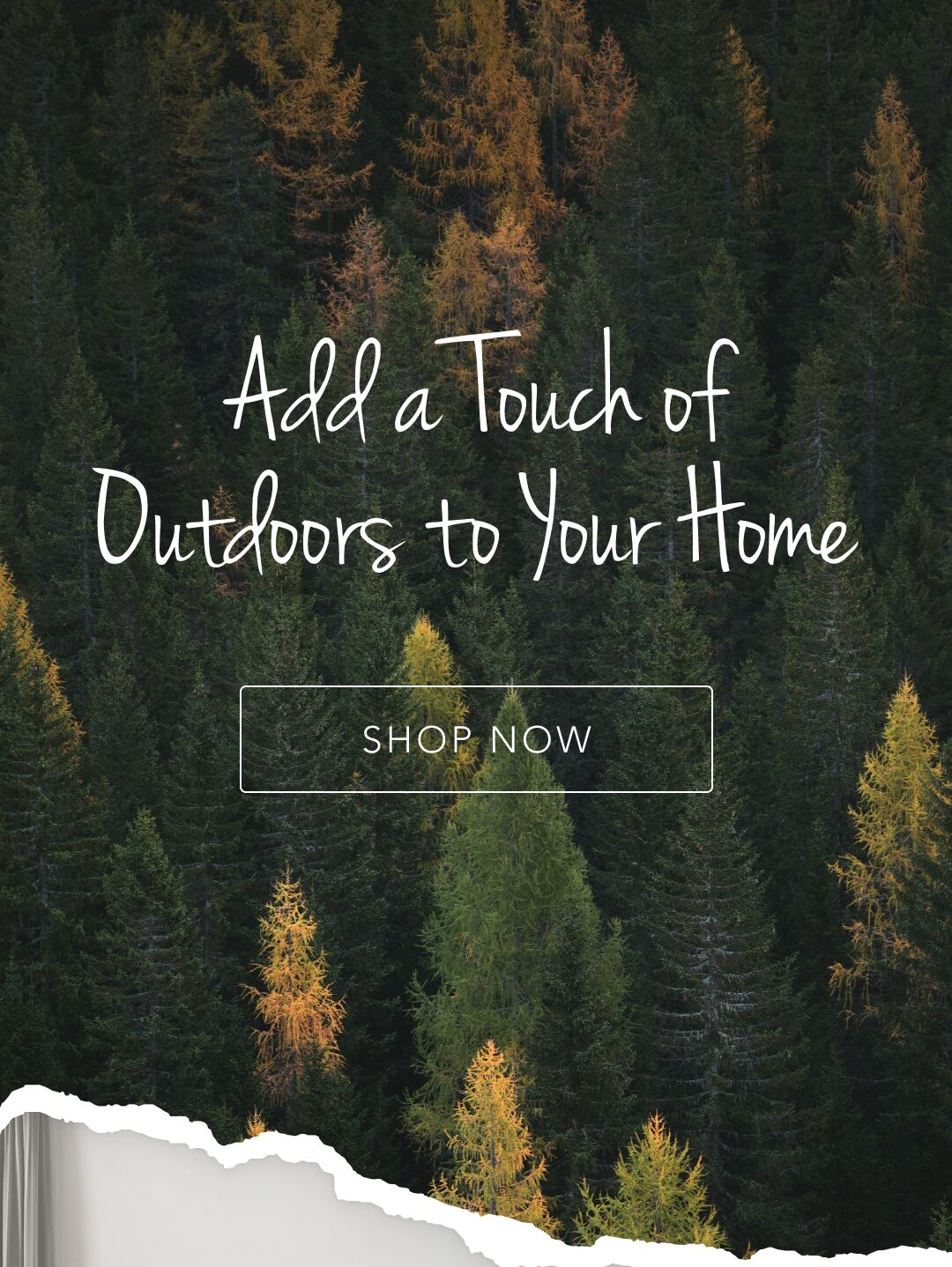 Add a Touch of Outdoors to Your Home