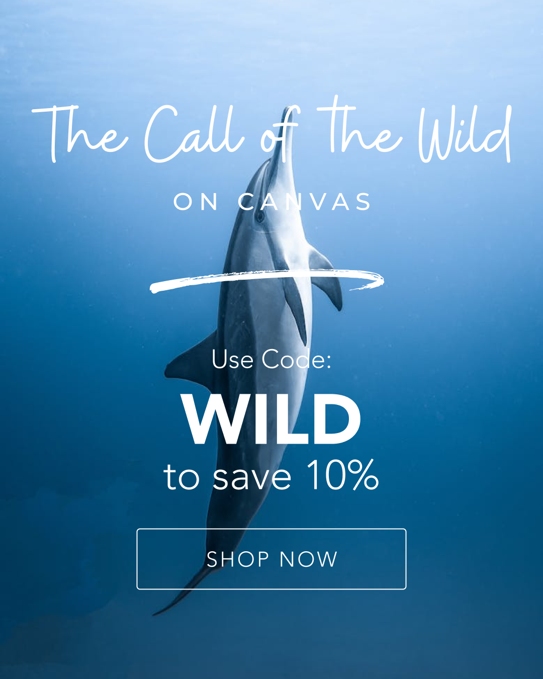 The Call of the Wild on Canvas