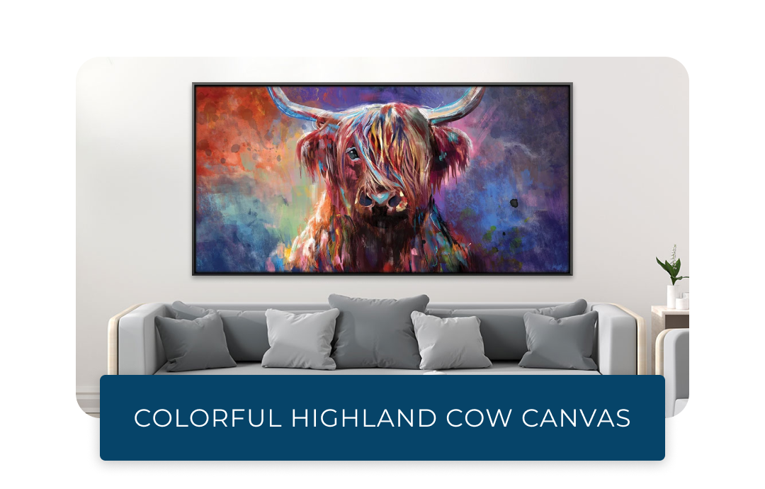 Highland Cow of Color