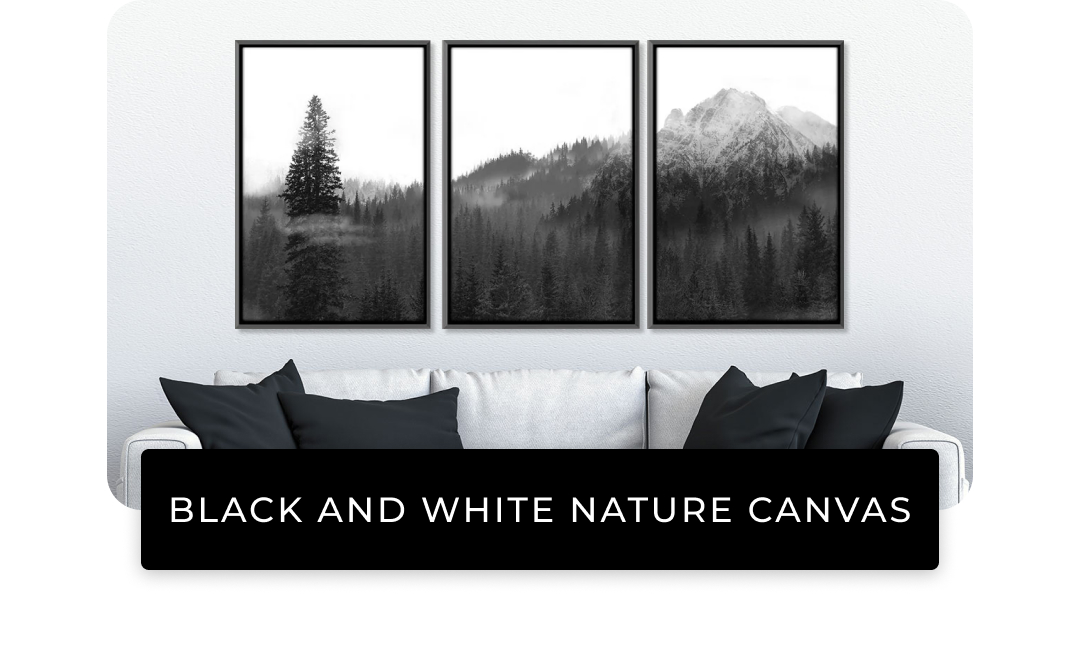 Black and White Nature