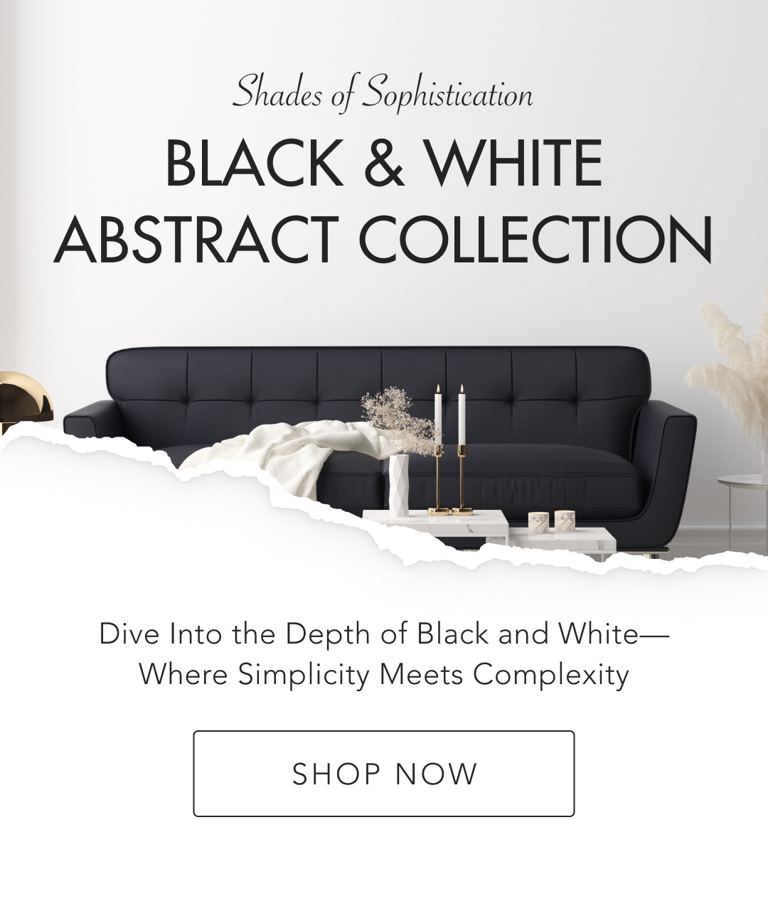 Shades of Sophistication: Black & White Abstract Collection