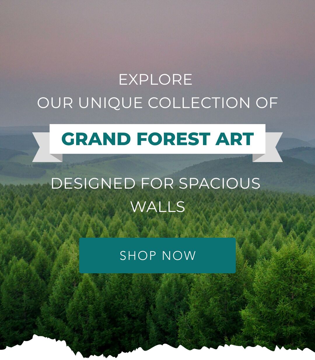 Explore our unique collection of grand forest art, designed for spacious walls