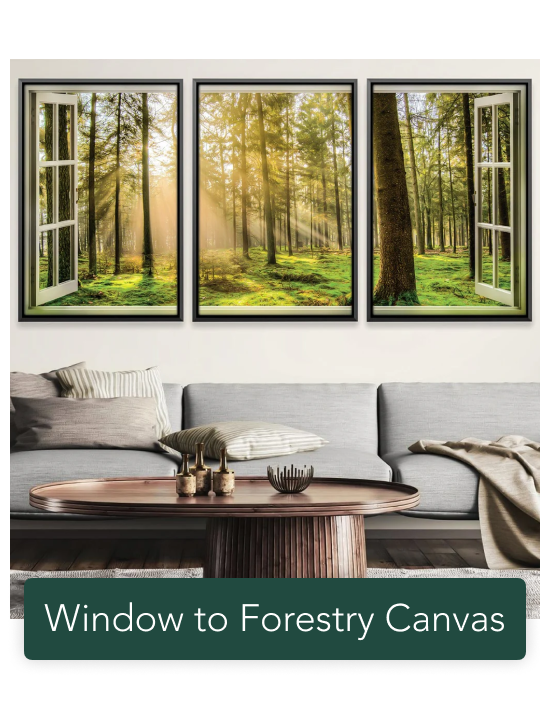 Window to Forestry