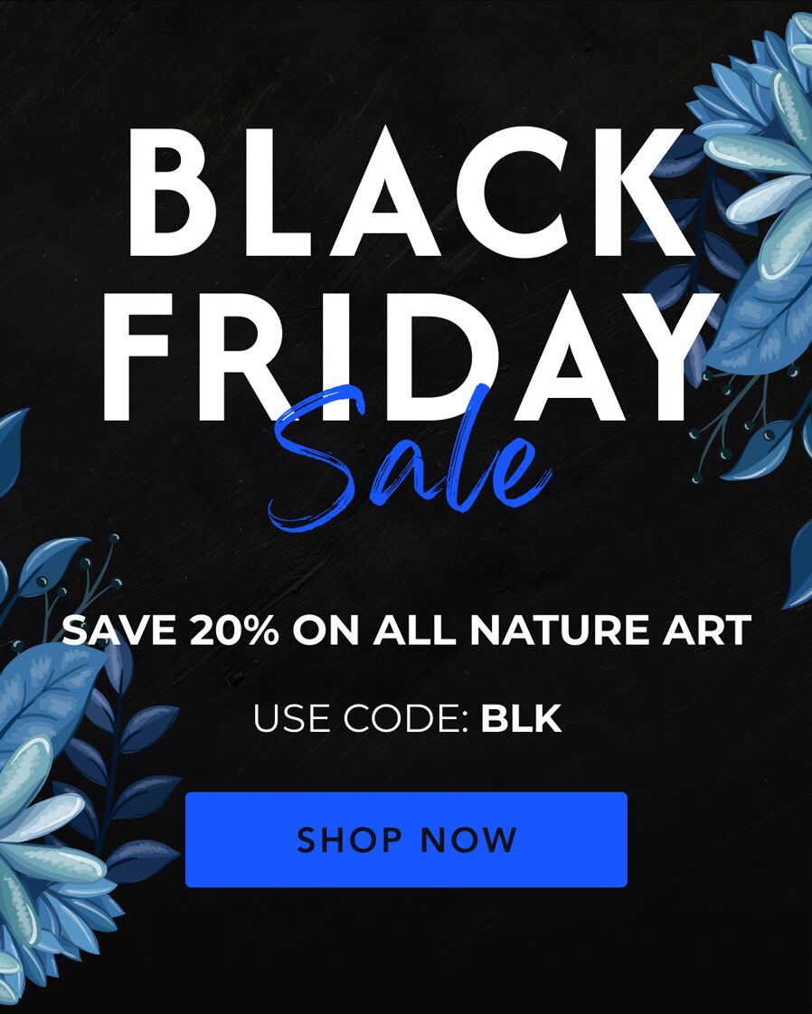 BLACK FRIDAY SALE