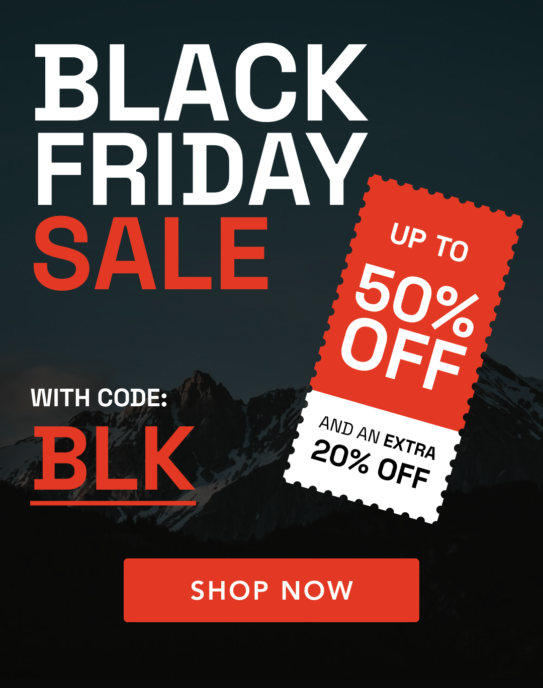 BLACK FRIDAY SAVINGS