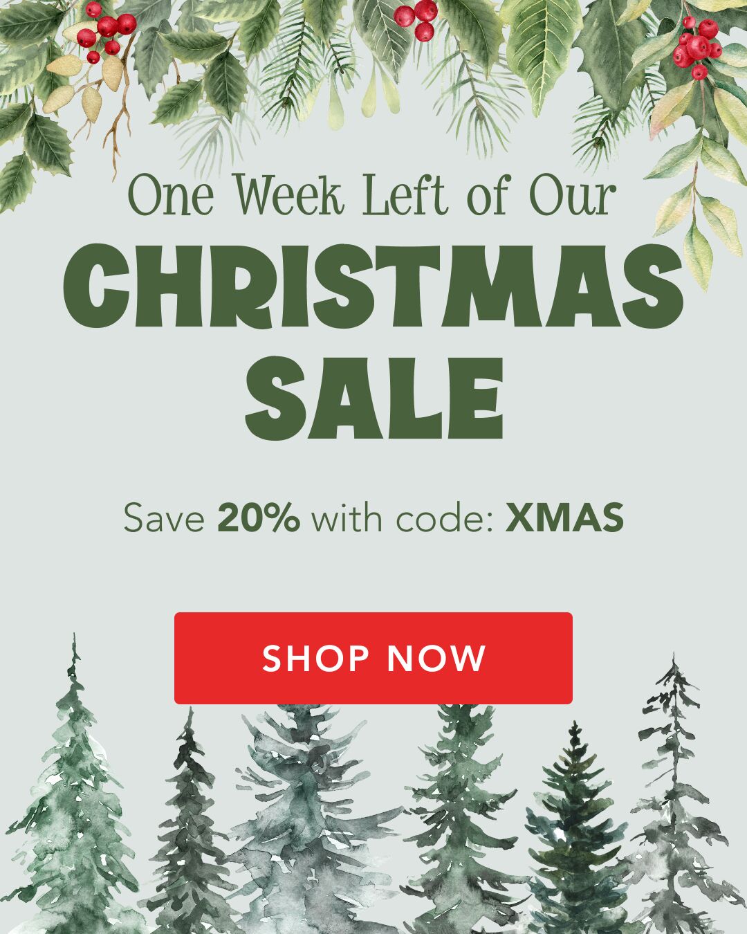 One Week Left of Our Christmas Sale