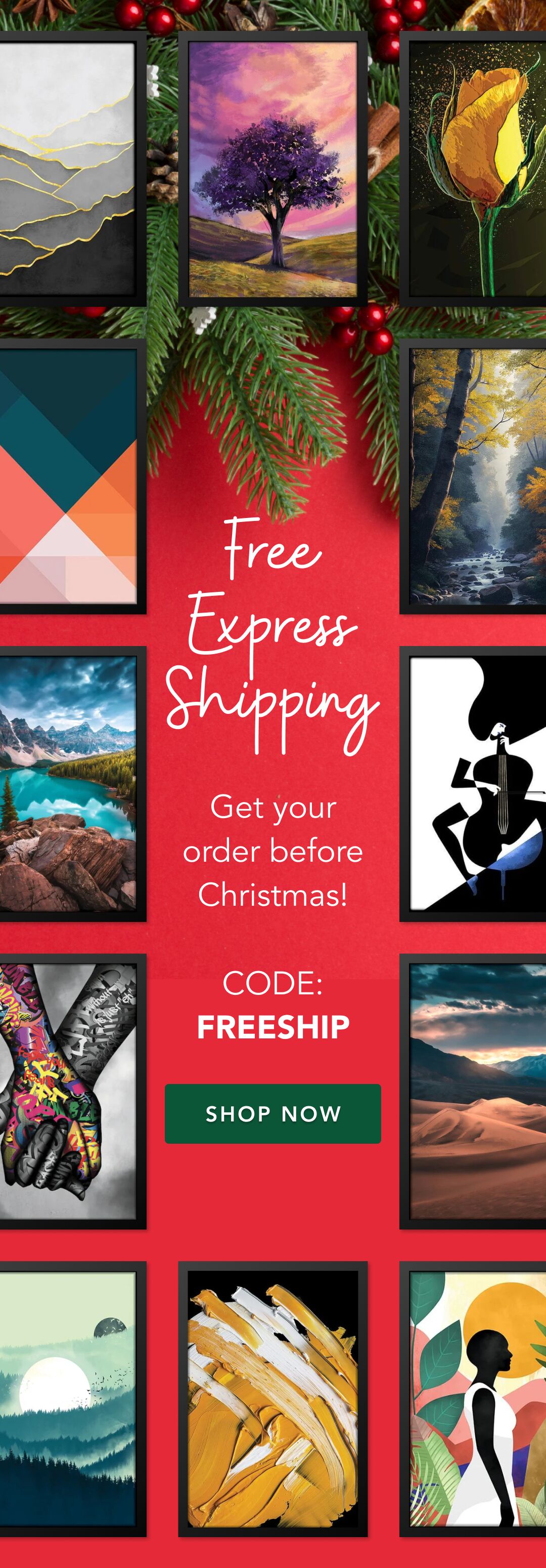 FREE EXPRESS SHIPPING