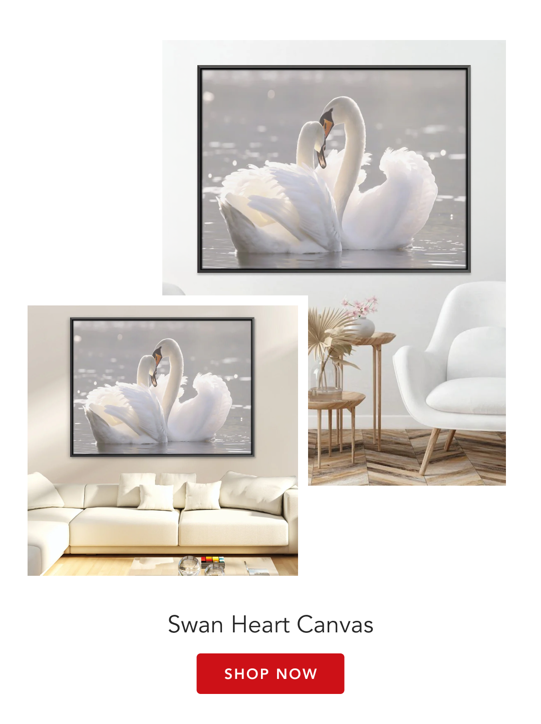 Swan Hearts